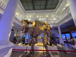 9eff9ef9-580c-4d27-90ee-57bb78af1dfb